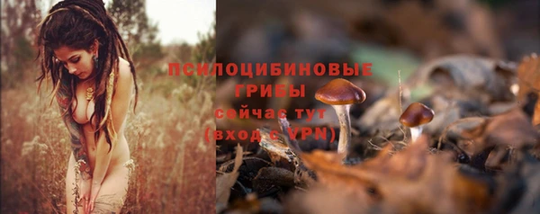 шишки Алзамай