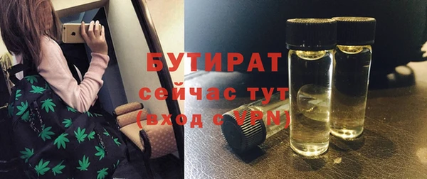 шишки Алзамай