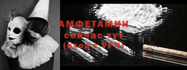 шишки Алзамай